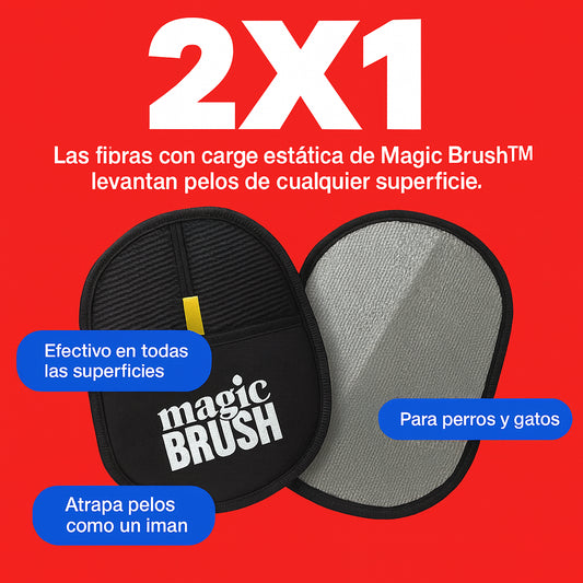 The Magic Brush - 2x1 Solo por Hoy